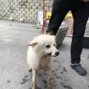 덕암1길 이미지