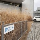 미메시스아트뮤지엄 이미지