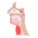브니엘노인전문병원 이미지