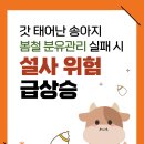 주식회사 봄비바이오