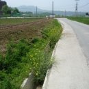 홍성여중 정문 이미지