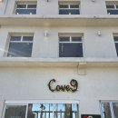 코브나인 이미지