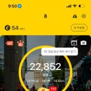 블루비타 이미지