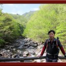화반 Daum카페