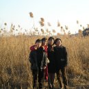 현리천 Daum카페