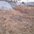 오산농장2 이미지