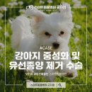 스마트동물병원 군자점 이미지