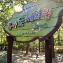 튼튼 유아숲체험원 이미지