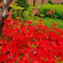 개운한날 이미지