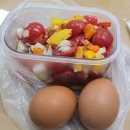 아워리틀포레스트 | 누가 말해 줄 수 있을까 이 선택이 맞다고 혹은 틀렸다거나