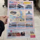 일본 오사카 봄 벚꽃 여행 필수 코스 오카와 강 벚꽃 크루즈 탑승 후기