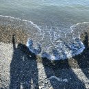 거제하이엔드스파앤풀빌라펜션 이미지