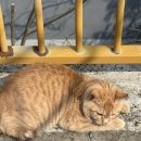 한량아세탁소 이미지