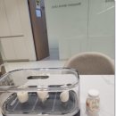 완플란트치과의원 이미지