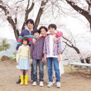 사쿠라(SAKURA) - 경주시 | 사쿠라(SAKURA)
