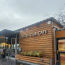 칵투스 아일랜드 이미지