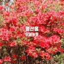 오성농원 이미지