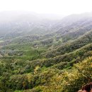 상관 공기마을 편백숲 이미지