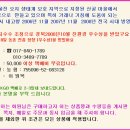 왕비천하늘