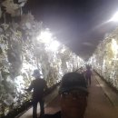 청도와 밀양을 1박2일로 다녀오다