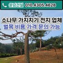 임실공구(임실시장 노점상) | 소나무 가지치기 전지 업체 벌목 비용 가격 문의 가능