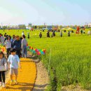 미성동-26 이미지