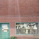 쉬림프홀릭 이미지