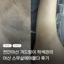 천안아산 멜라닌케어 겨드랑이 착색관리 내돈내산 후기