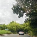 동부산 CC | 동부산cc 그린피와 라운딩 후기