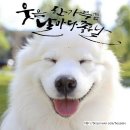 날마다좋은날 이미지