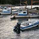 추도명진민박 이미지