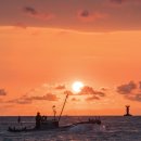 주전어촌체험마을 이미지