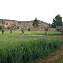 국립부여박물관 이미지