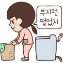 샐러드앤가든부산중 이미지