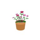 토피어리원예교실 이미지