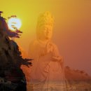 심화(心花) 이미지