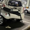 인형의 거리(말) 이미지