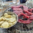 한우정 티스토리