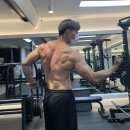 역삼-1294 | [본오동 / 선릉 / 삼성 피티 후기 - 인바디편, 20일만에 골격근량 1kg, 체지방 -1.7%]