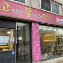 고양이무마취미용 고무미 이미지