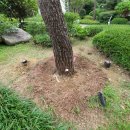 (주)구구환경공사