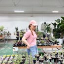 한국기계유통단지3 | 일산 꽃시장 데이트 한국화훼농협 화훼단지 박쥐란 목부작 쇼핑