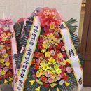 김주회