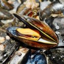 건강더하기헬스 이미지