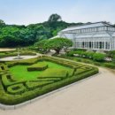 창경궁 홍화문 옆 이미지