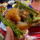 라이온링크