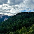 207회 명산화요산악회 축령산(전남장성)산행 이미지