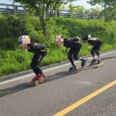 팀타니