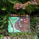 340차 태백 철암단풍군락지 이미지