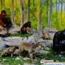 고성자연사박물관 이미지